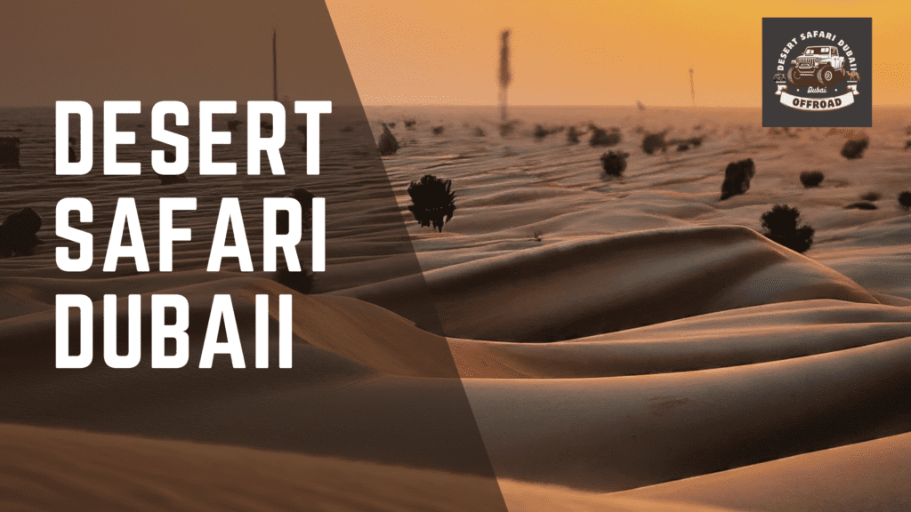 Safari deals review

